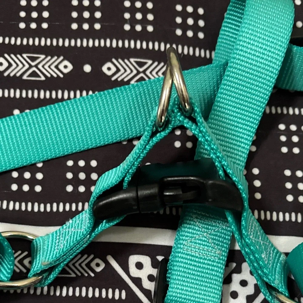 Teal No Pull Dog Harness